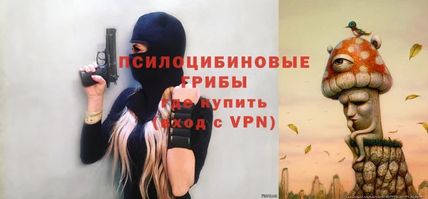 кокс Белокуриха