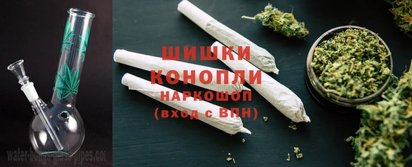 дживик Балахна