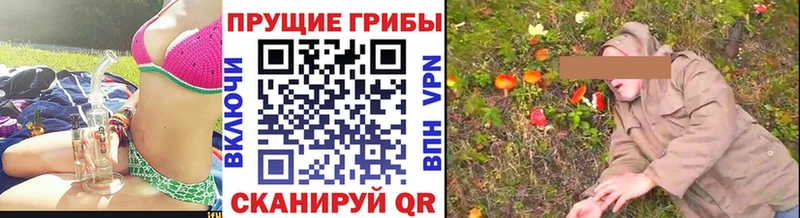 как найти закладки  Георгиевск  Галлюциногенные грибы Psilocybine cubensis 